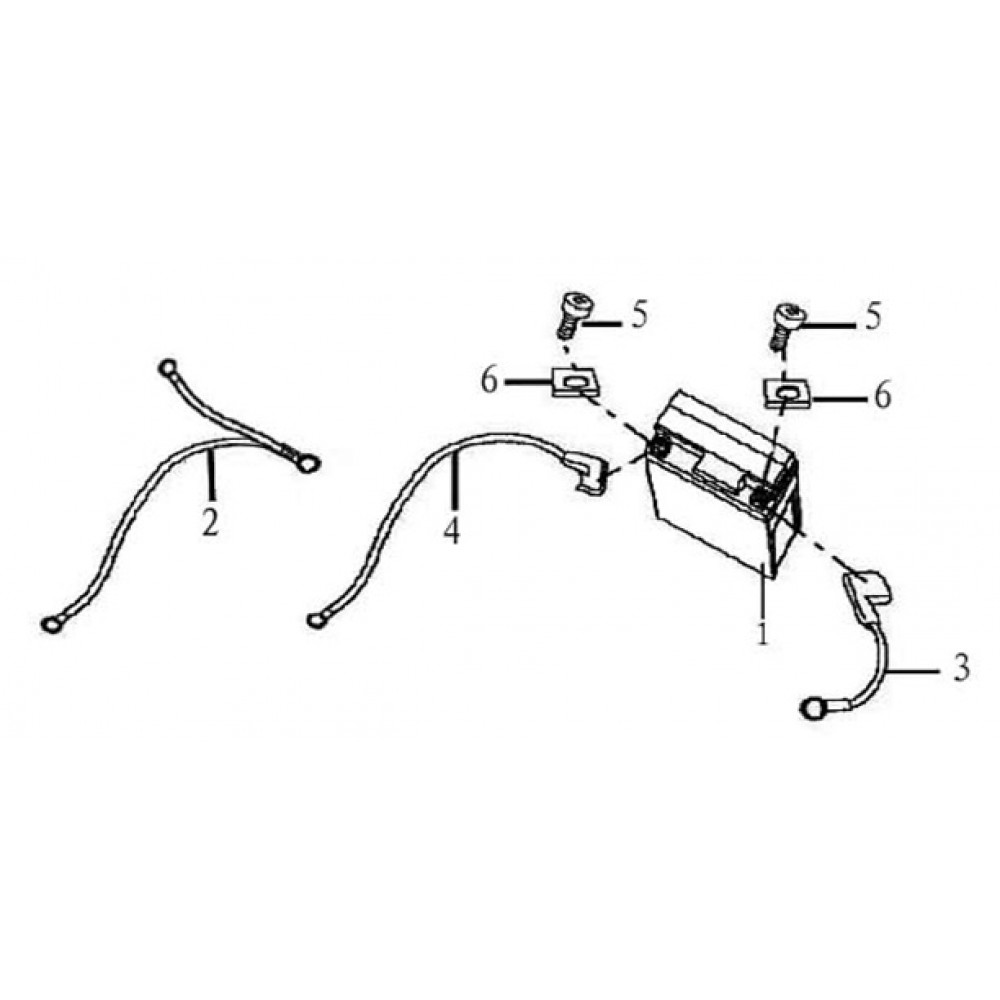 ASYA POLO 50 AKU KABLOSU 