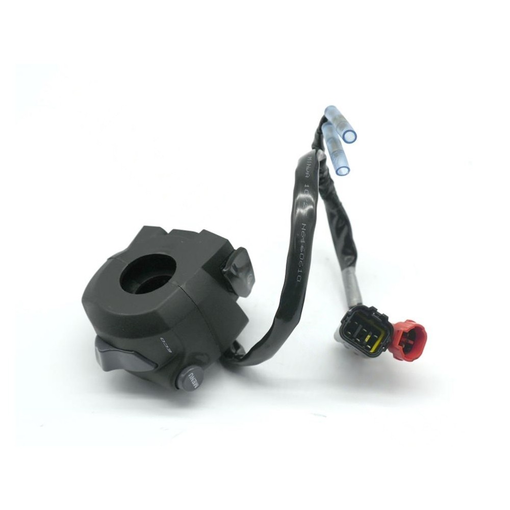 TVS RAİDER 125 SAĞ KUMANDA N6160610 ORJ