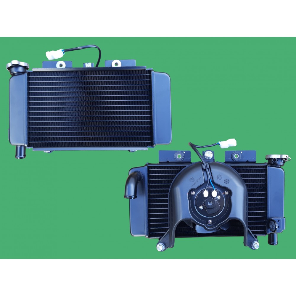 CF SR 250 RADYAT&Ouml;R VE FAN KOMPLE (E4-E5)