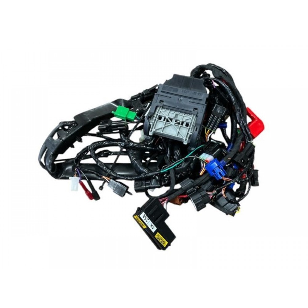 TVS RAİDER 125 ELEKTRİK TESİSATI N6161940 ORJ