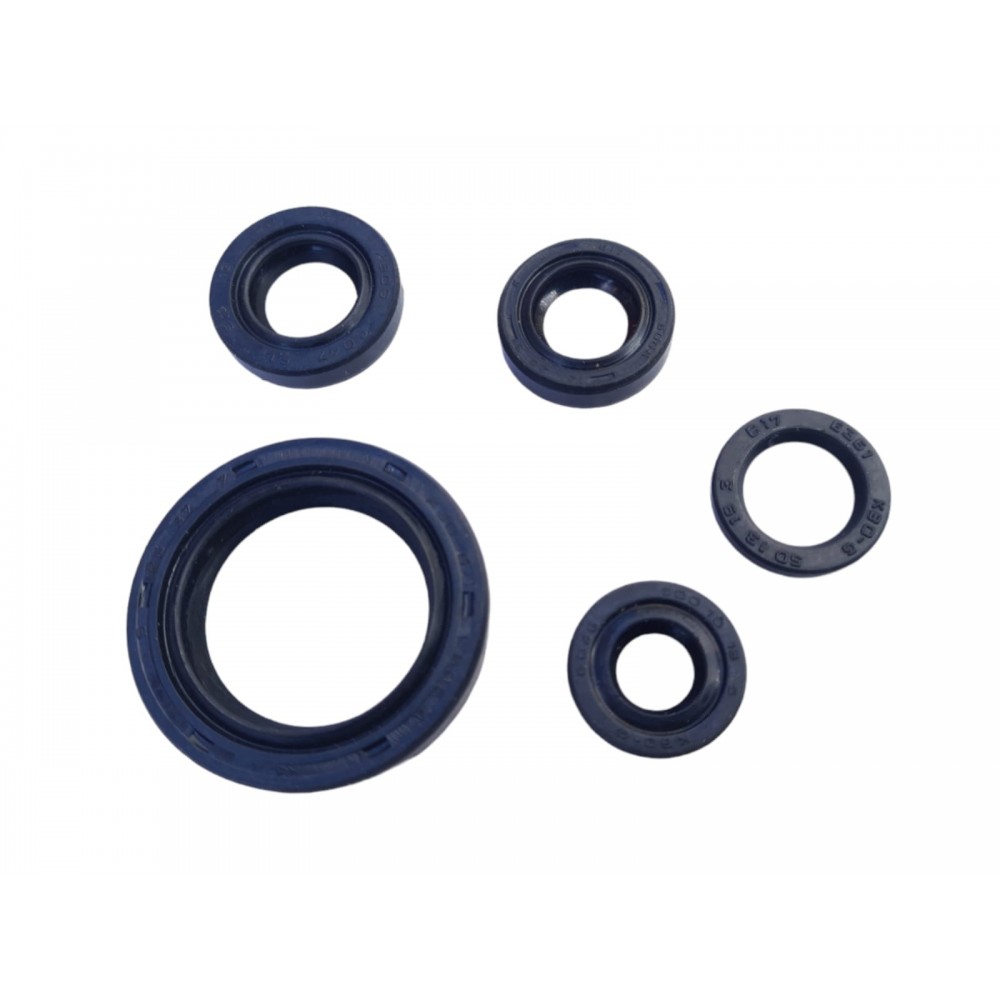 BAJAJ PULSAR NS 200 KE&Ccedil;E SETİ 5 Lİ İTH