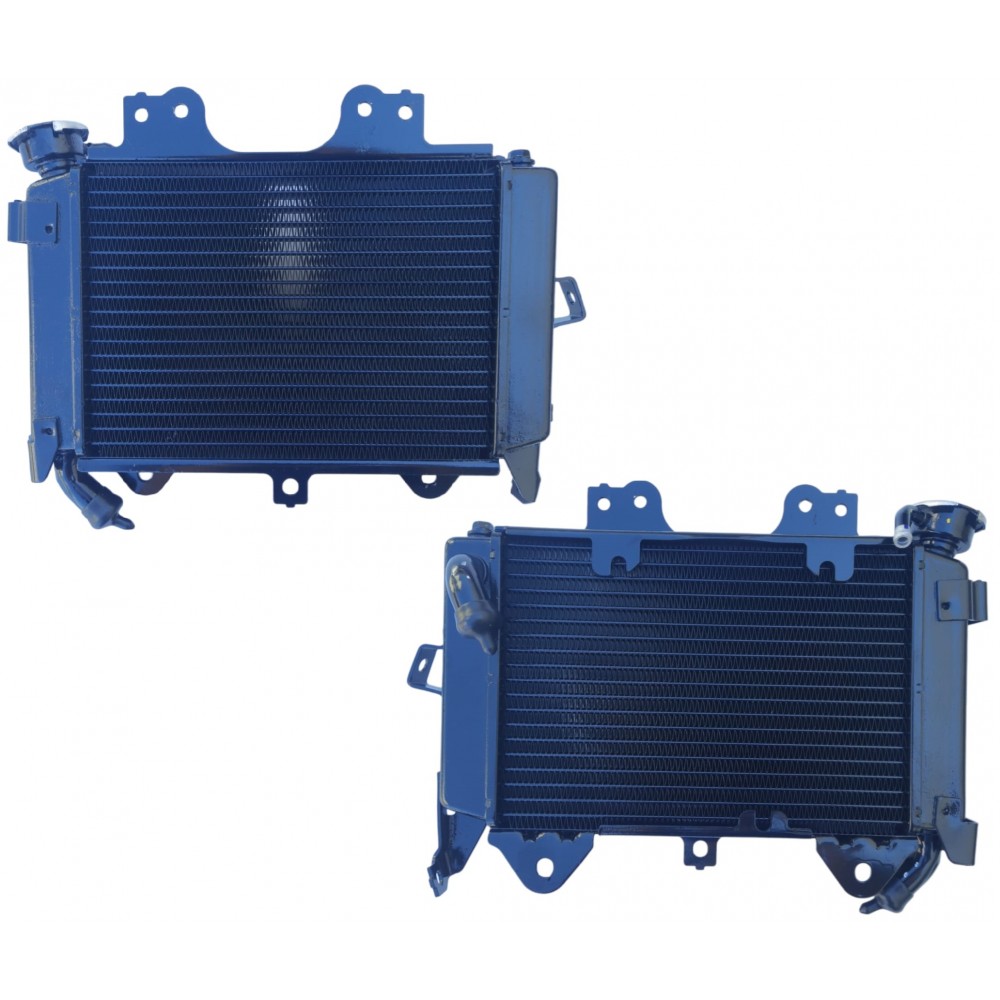 BAJAJ PULSAR NS 200 RADYAT&Ouml;R İTH