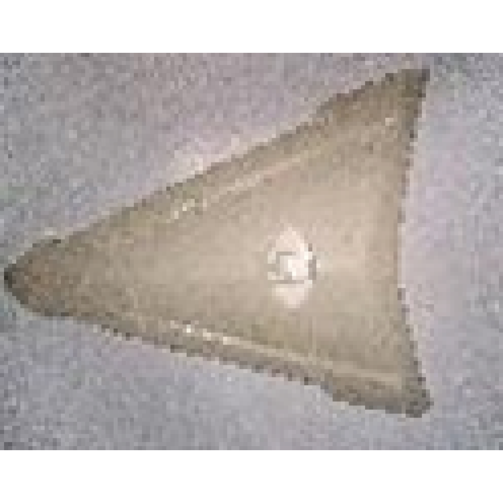 CSN ARREBOL &Ouml;N PANEL &Uuml;&Ccedil;GEN