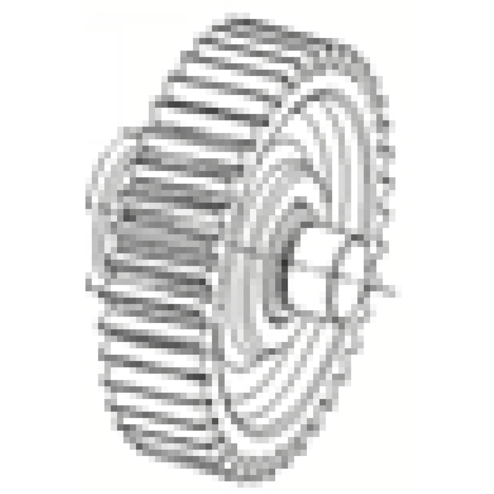 CSN ARREBOL MERKEZ DİŞLİ