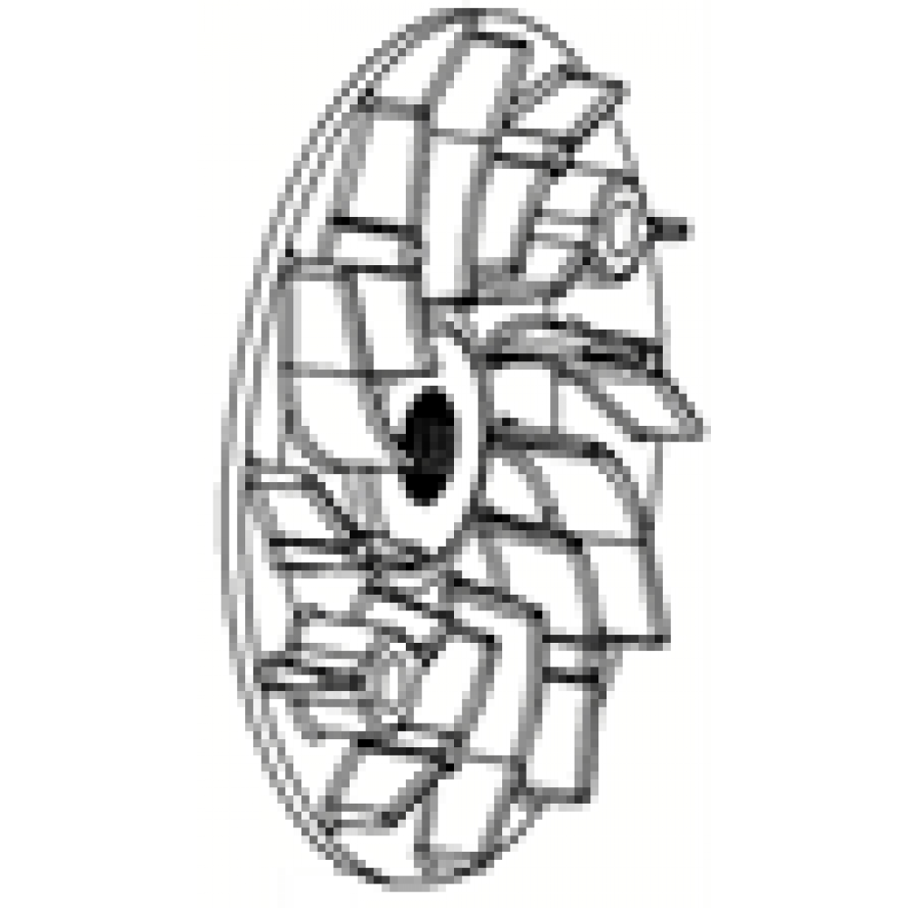 CSN ARREBOL VARYAT&Ouml;R FAN
