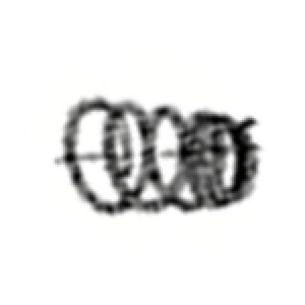 CSN DAKAR 150 YAĞ FİLTRESİ YAYI