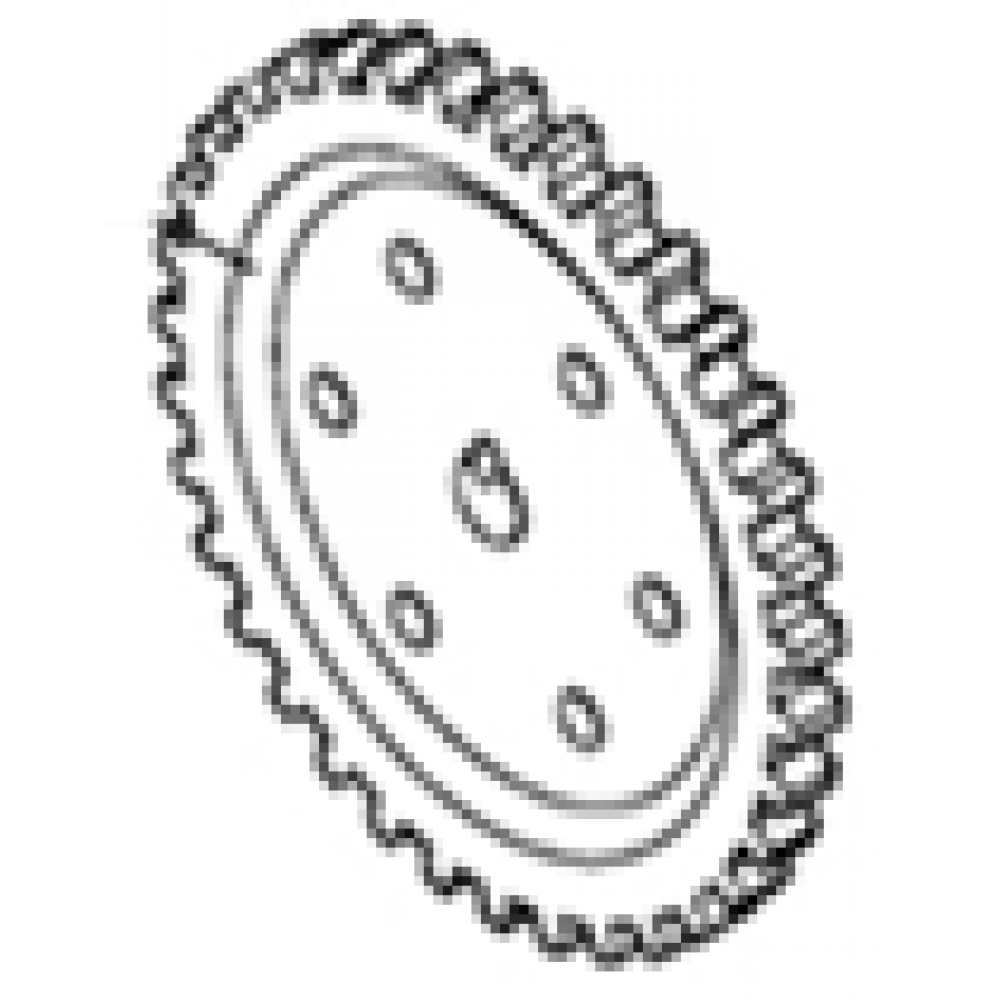 CSN DAKAR 150 YAĞ POMPA DİŞLİSİ