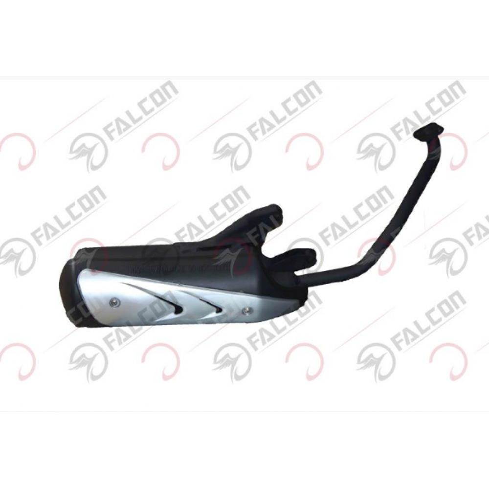 FALCON DOLPHIN 2020 EGZOZ