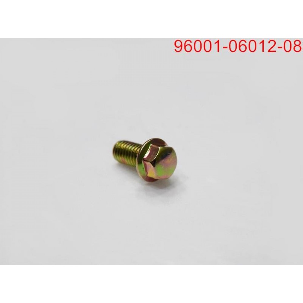 SYM SYMPHONY 125 ST E M6*12 YAG POMPASI CIVATASI