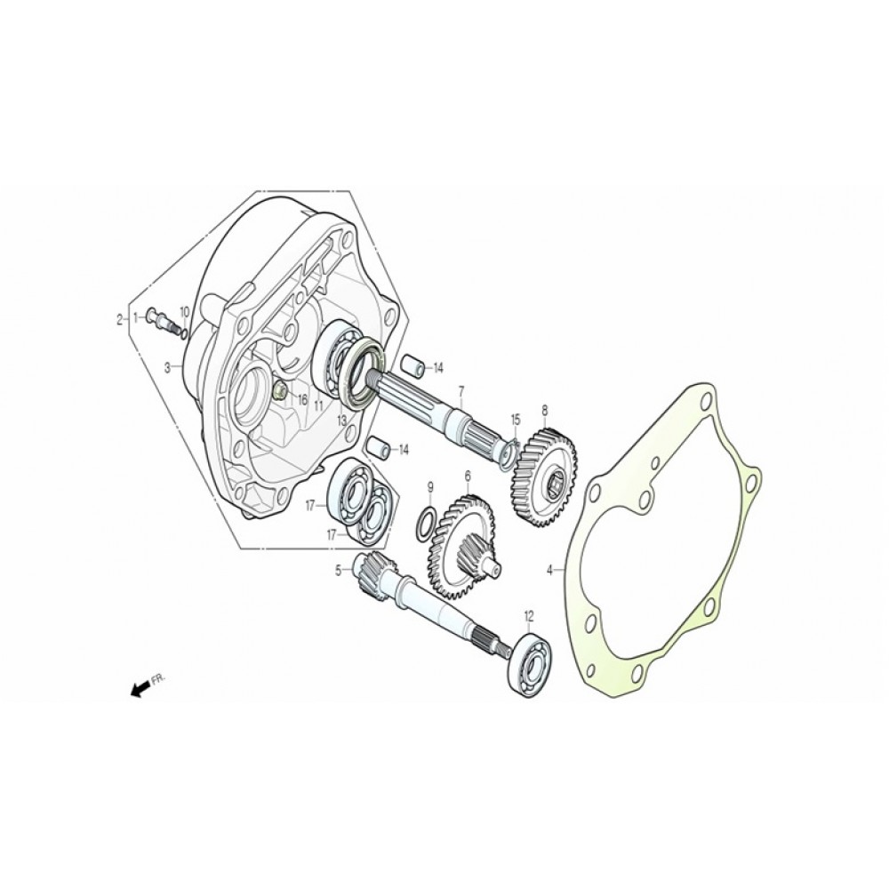 TS 50 DL50 BG SANZUMAN KAPAK CONTASI