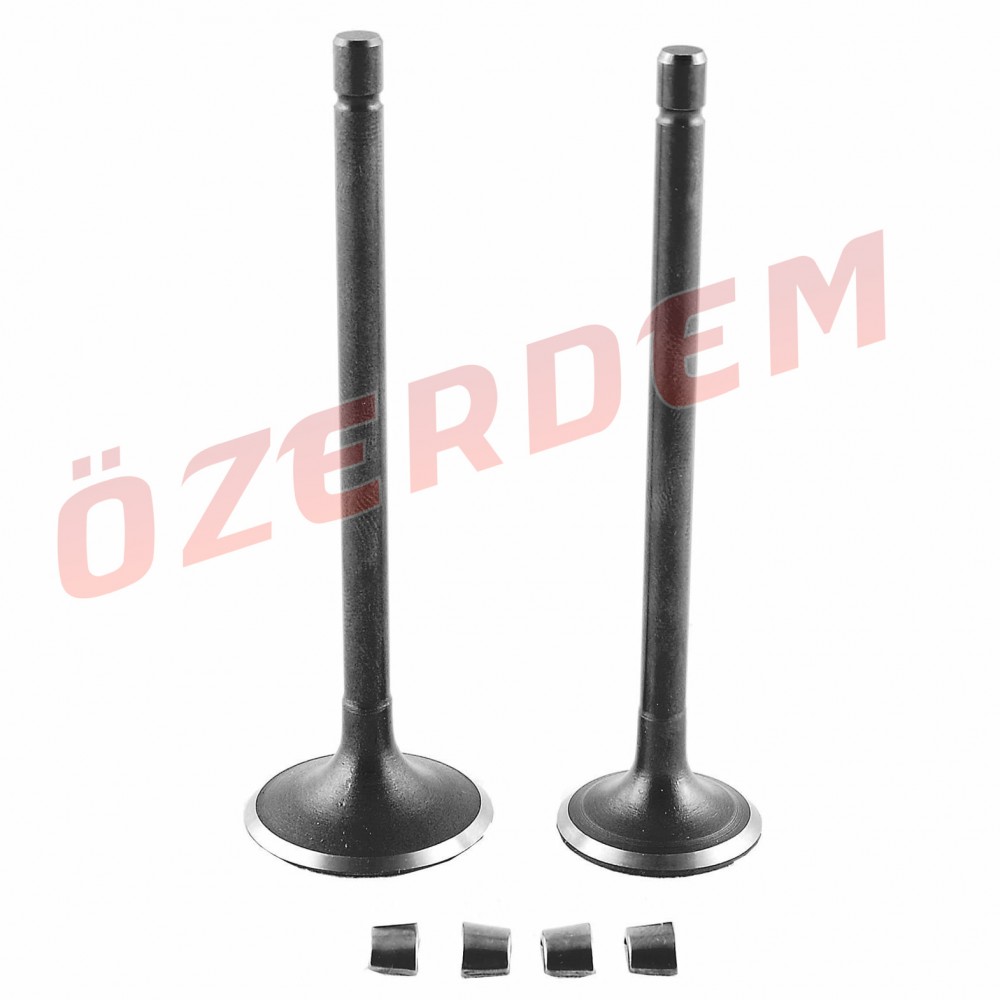 AYDER 250 ZH SİBOP VTC 28,5-34-89,5-91-5,5