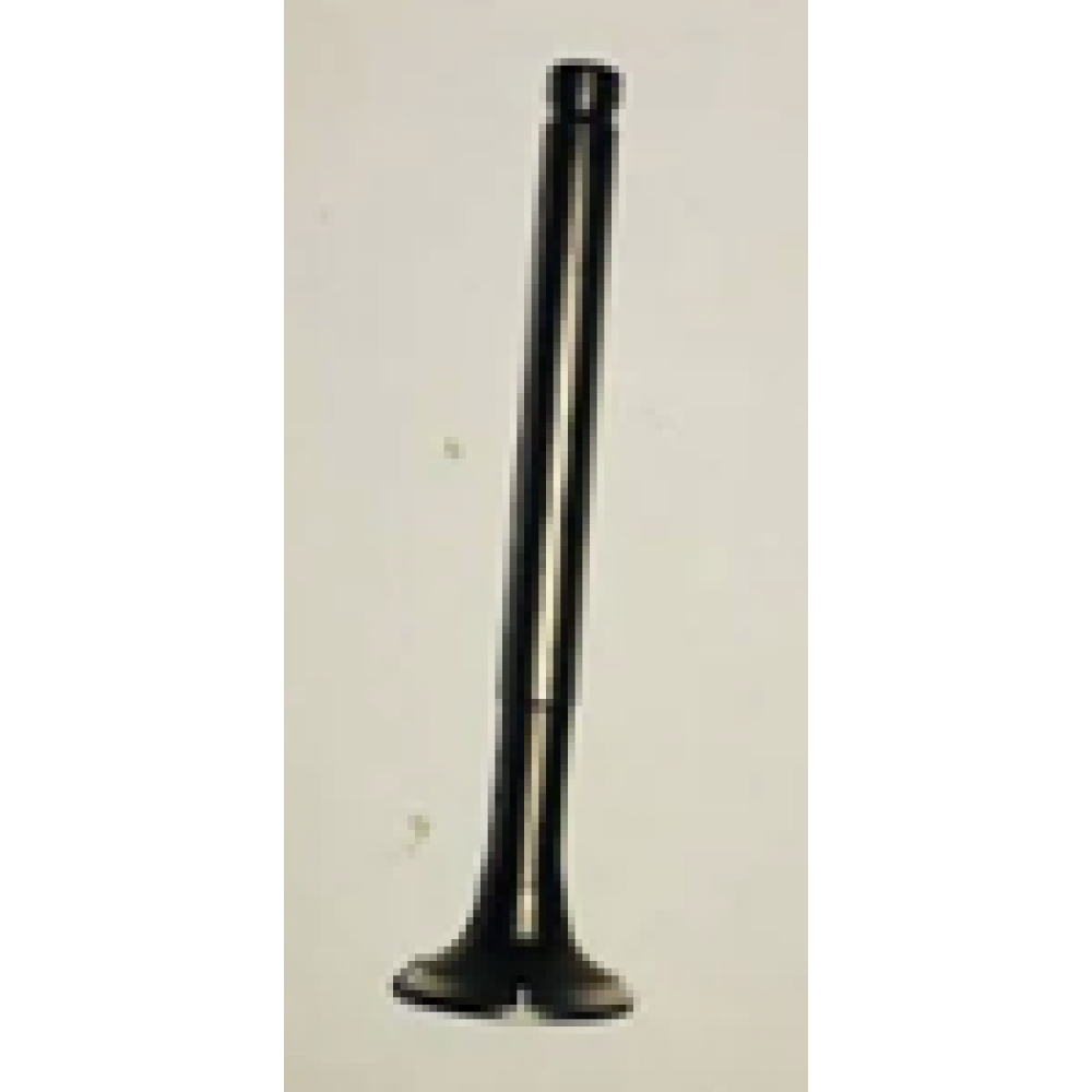 CSN BEAUTY 125 EGZOZ SUBABI