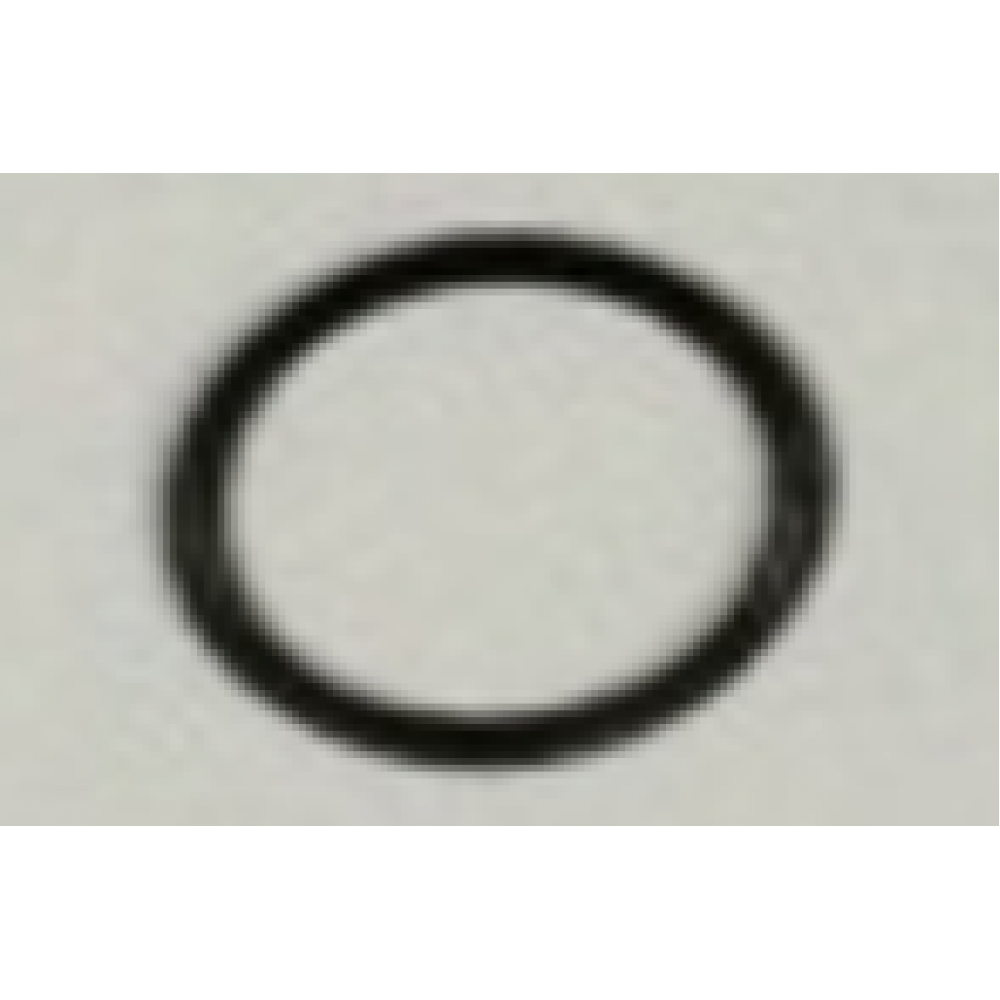 CSN BEAUTY 125 YAĞ FİLTRE ORİNGİ