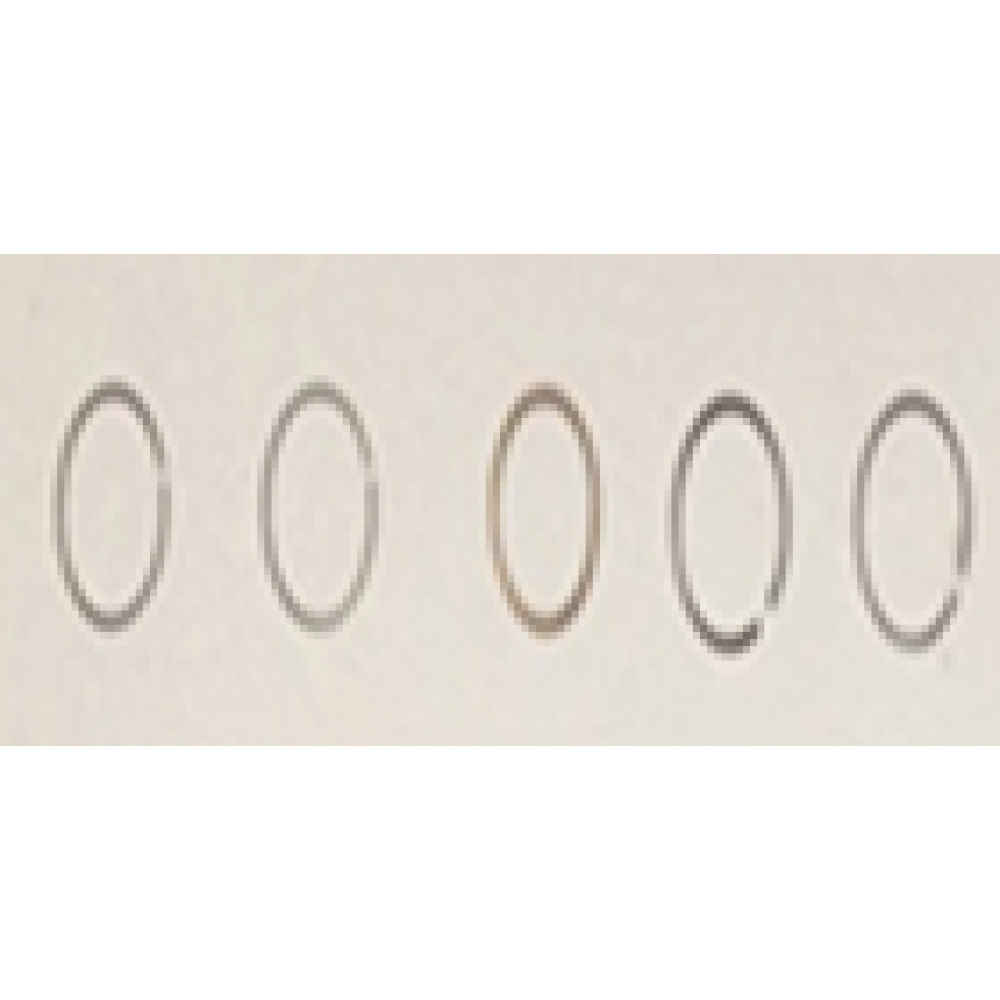 CSN BEAUTY 50 SEGMAN TAKIMI