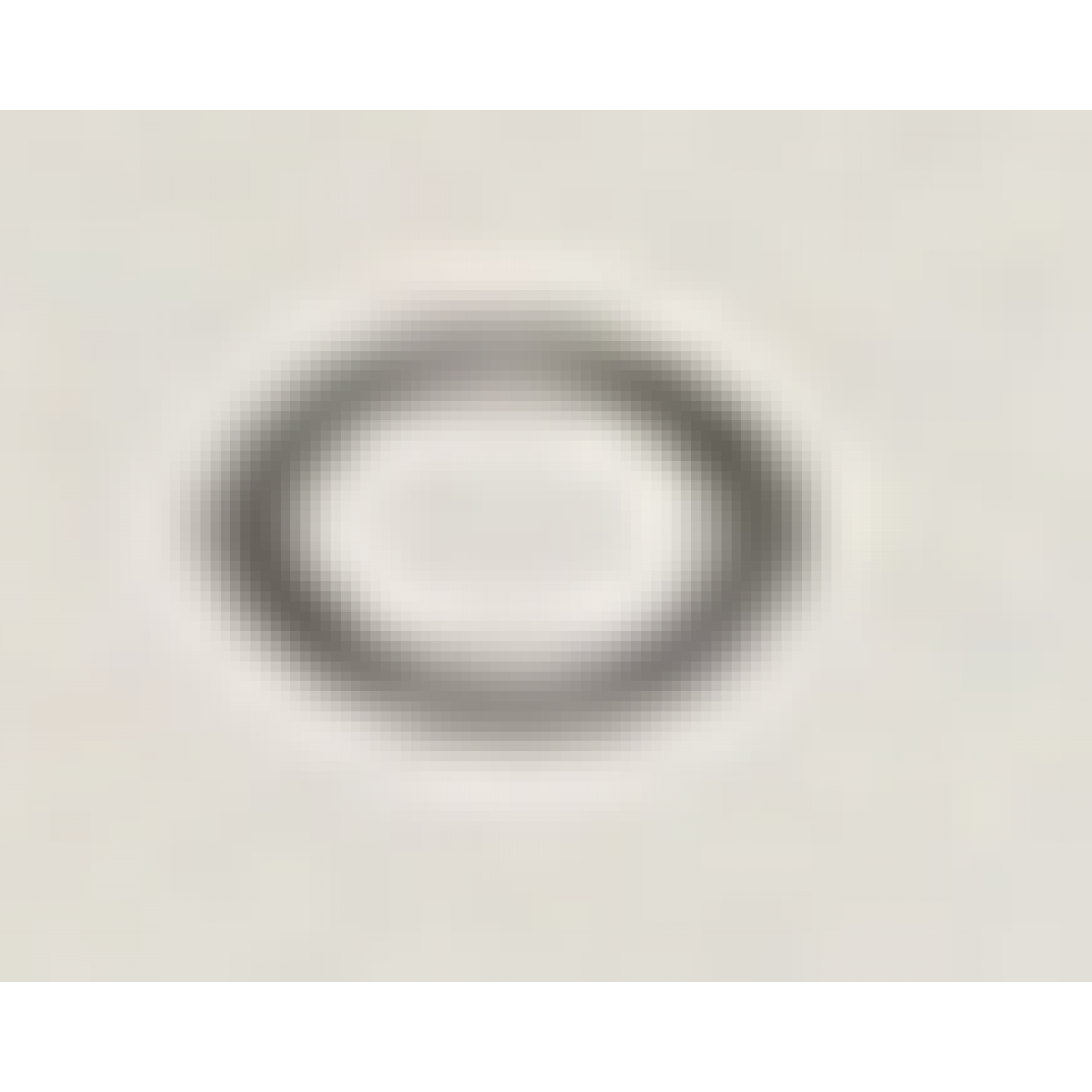 CSN BEAUTY 50 O-RİNG 15.2*1.5