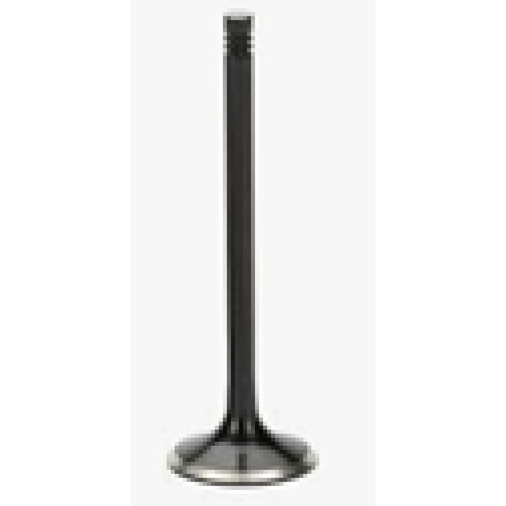 CSN BEAUTY 50 EMME SUBABI