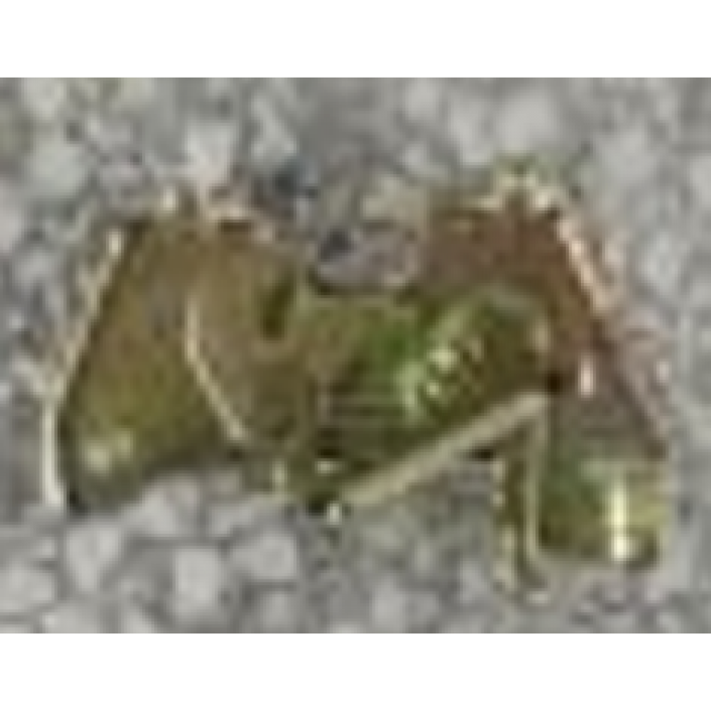 CSN COMFORT 3000W SELE KİLİT CSN COMFORT 3000W SELE KİLİT