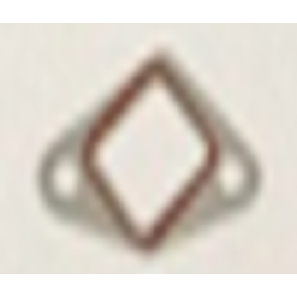 CSN KANO 50 EKSANTİRİK ZİNCİR GERGİ CONTASI CSN KANO 50 EKSANTİRİK ZİNCİR GERGİ CONTASI