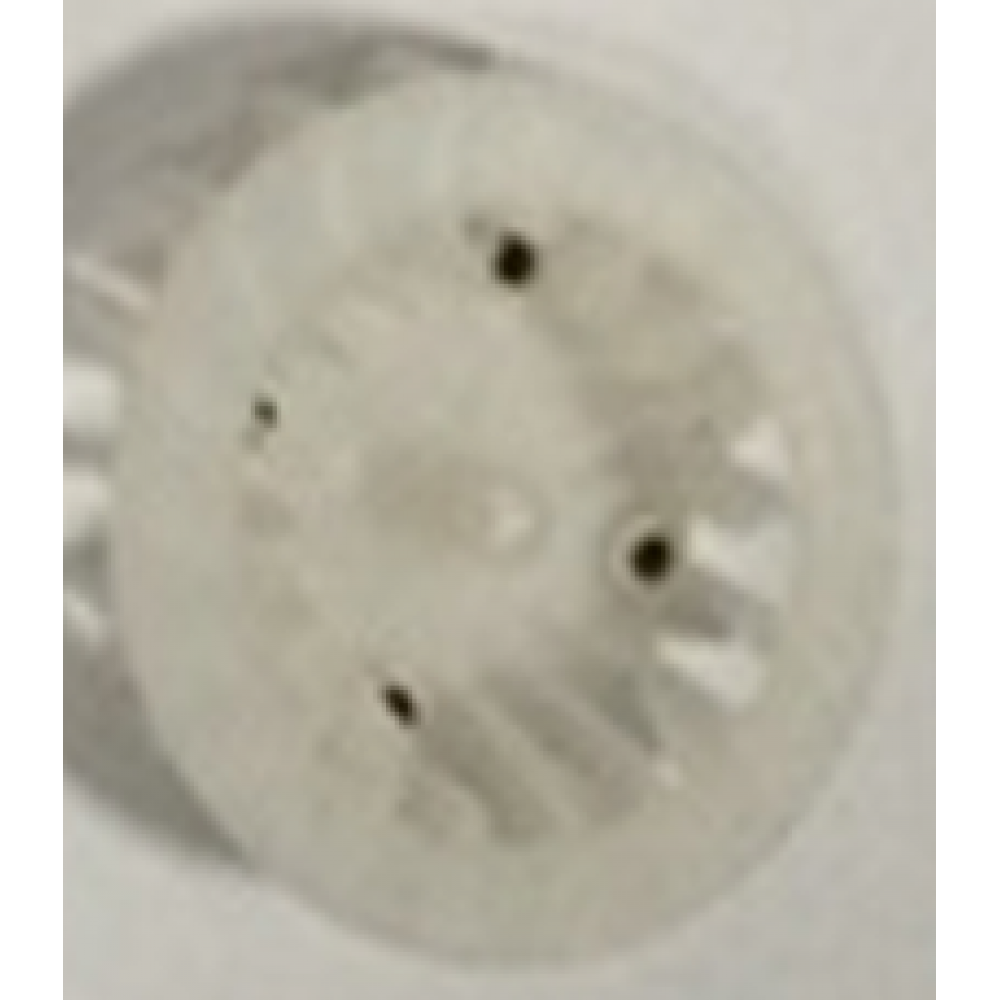 CSN KANO 50 FAN PERVANE CSN KANO 50 FAN PERVANE