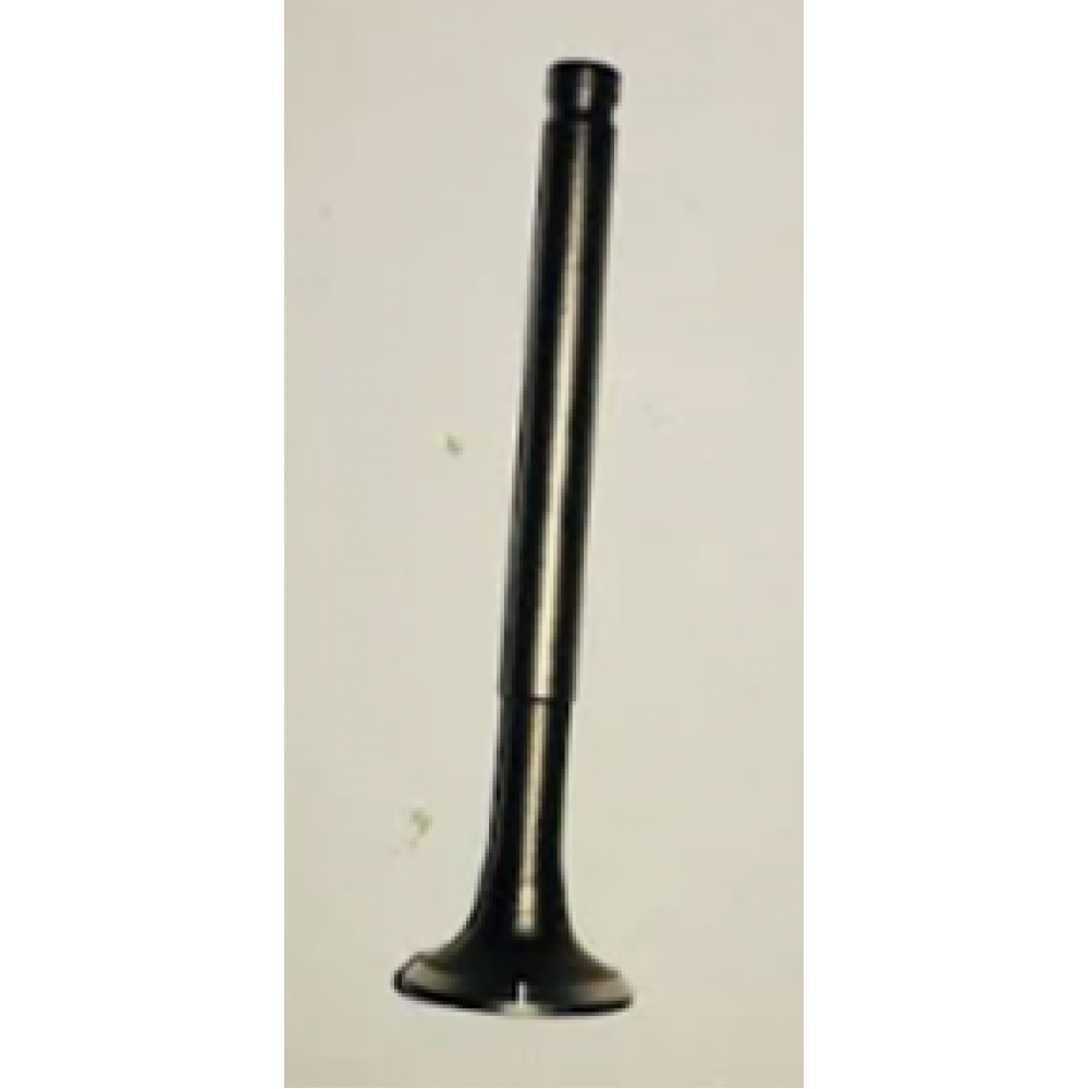 CSN KANO 50 EGZOZ SUBABI CSN KANO 50 EGZOZ SUBABI