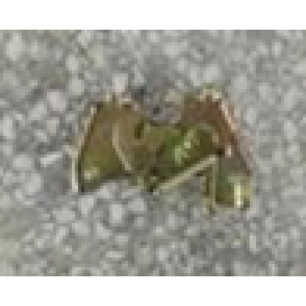 CSN PİGEON 1500 SELE KİLİT PLAKASI