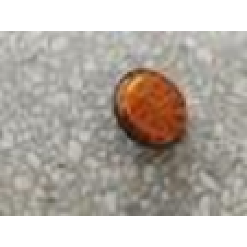 CSN PİGEON 1500 YAN REFLEKT&Ouml;R