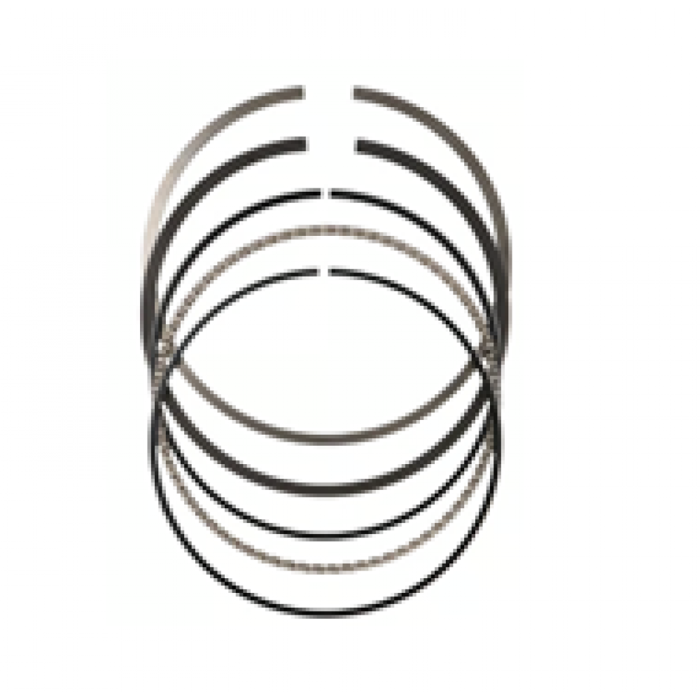 CSN PLUTON 50 SEGMAN TAKIM