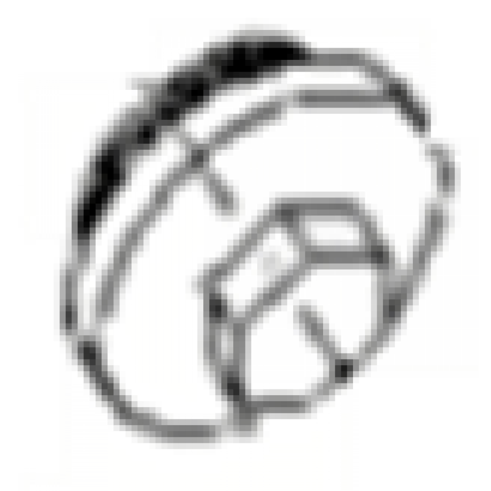 CSN FELİCİTY 125 YAĞ TAPASI