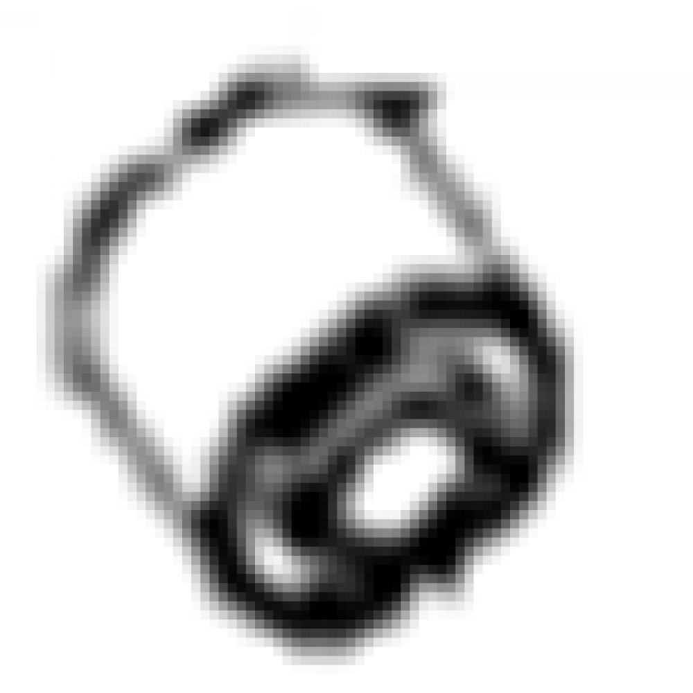 CSN FELİCİTY 125 ARKA BURÇ CSN FELİCİTY 125 ARKA BURÇ