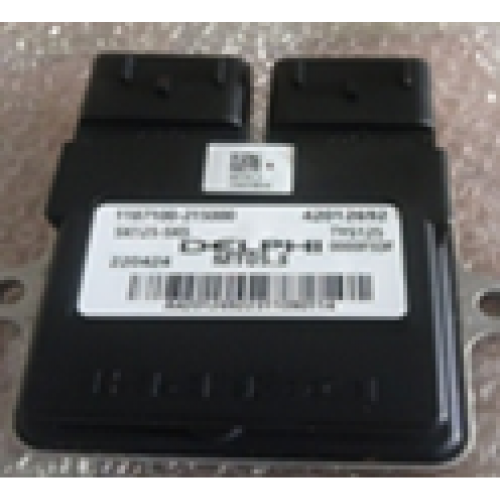 CSN SNAKE125 BEYİN CSN SNAKE125 BEYİN