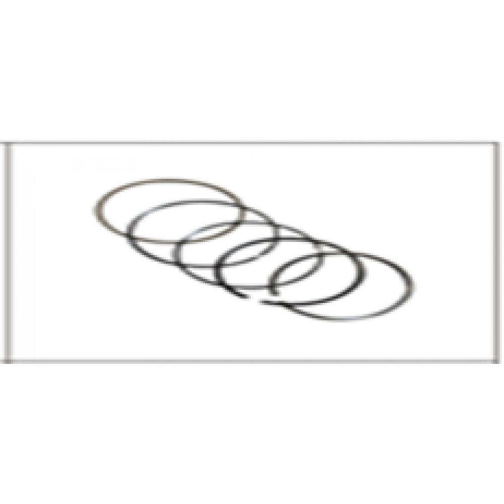 CSN SNAKE125 PİSTON SEGMAN