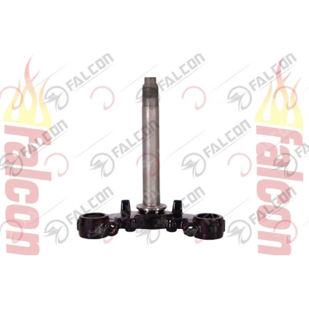 FALCON MEXİCO 150 (125 CC) PLATİN (&Ouml;N MAŞA)