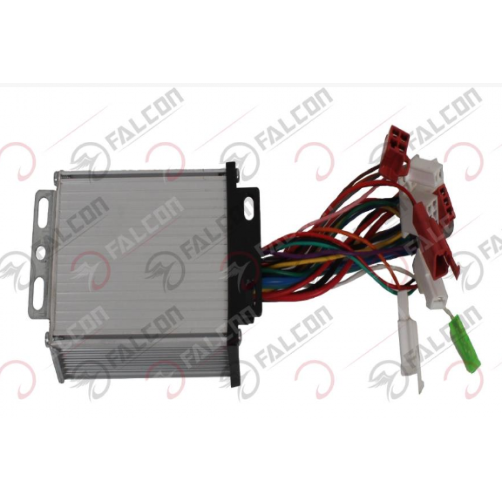 FALCON GYPS 249  BEYİN 